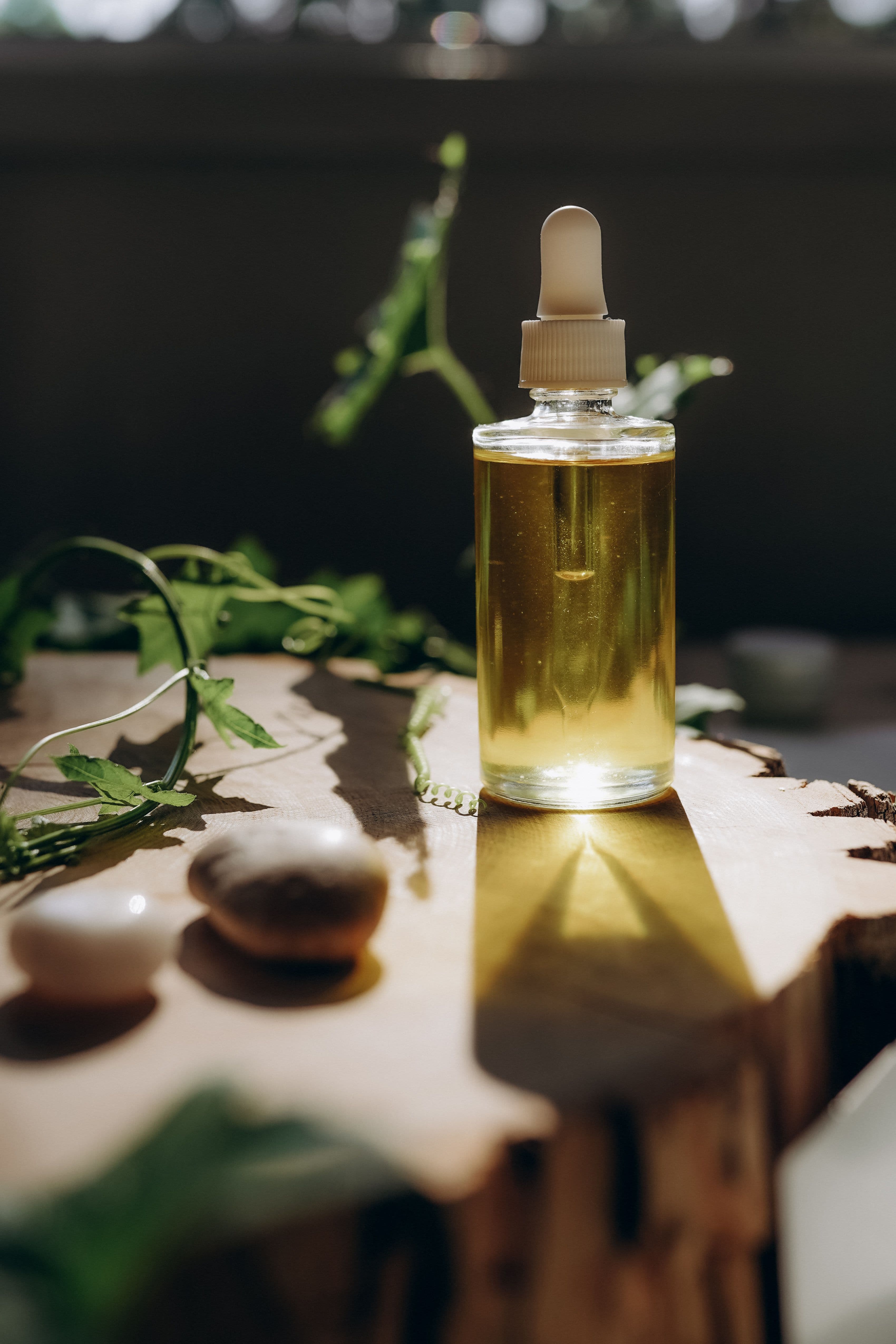 The Ultimate Guide to Castor Oil